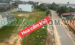 Bán đất 100m2 Huyện Cẩm Khê, Thị trấn Cẩm Khê, khu Đồng Tâm, Phú Thọ