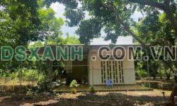 Bán nhà vườn 1600m² X. Tân Lợi, H. Hớn Quản, T. Bình Phước 200tr
