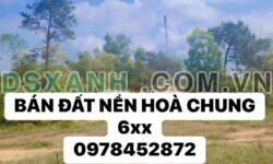 Bán đất Phường Hòa Chung, Thành phố Cao Bằng: 100m², chỉ 6xx triệu