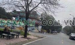 Bán Nhà 70m2, Phường Minh Phương, TP. Việt Trì, Giá 4.x Tỷ