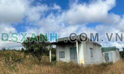 Bán 6.8ha Đất Rẫy Huyện Mang Yang, Xã Mang Yang, Gia Lai. LH.