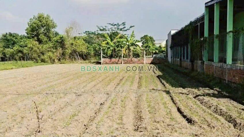 Bán đất Huyện Đức Hòa, Xã Mỹ Hạnh 250m² chỉ 1.05 tỷ