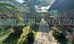 Bán Quán Cafe Đất Thổ Cư 8x44m P. Tân Ninh, TP. Tây Ninh 6.4 Tỷ