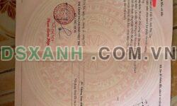 Bán Đất 192m², Khu 10 Xã Kim Đức, Thành phố Việt Trì. Giá chỉ hơn 1 Tỷ