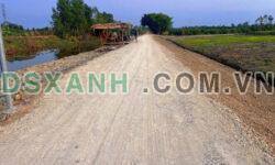 Bán đất 1000m² Đường Ba Vồn Lớn, Thạnh Lợi, Bến Lức, Long An 699tr TL