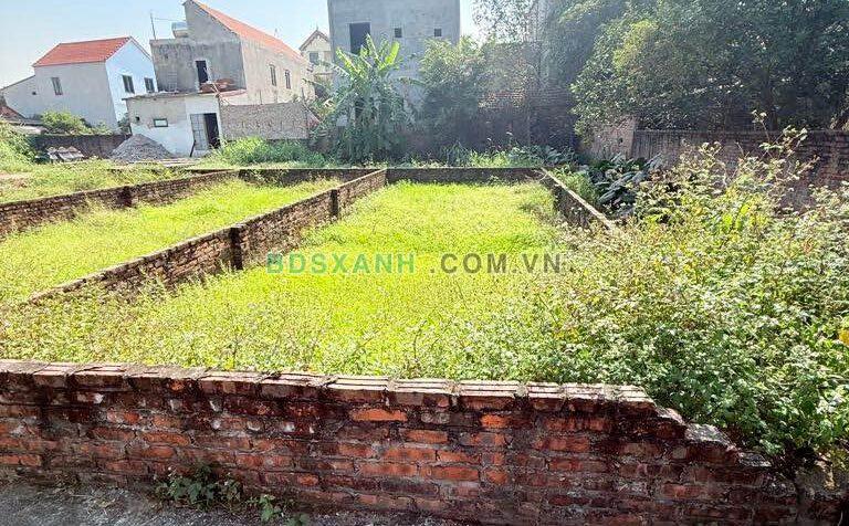 Bán Đất Lô Góc 66m² Xã Lệ Chi, Huyện Gia Lâm – 3.x tỷ