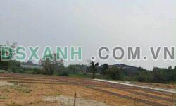 Chính chủ bán đất Địa chỉ :Đô Tân -Trung Giã Sóc sơn.Sổ đỏ chính chủ