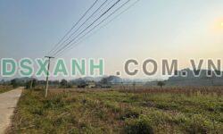 Bán đất >3000m2 Xã Phong Quang, Vị Xuyên, Hà Giang, giá 5xx triệu