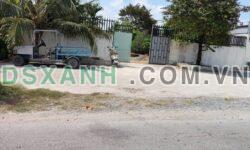 Bán 2000m² đất full thổ, Xã Long Trạch, Huyện Cần Đước, 14 Tỷ