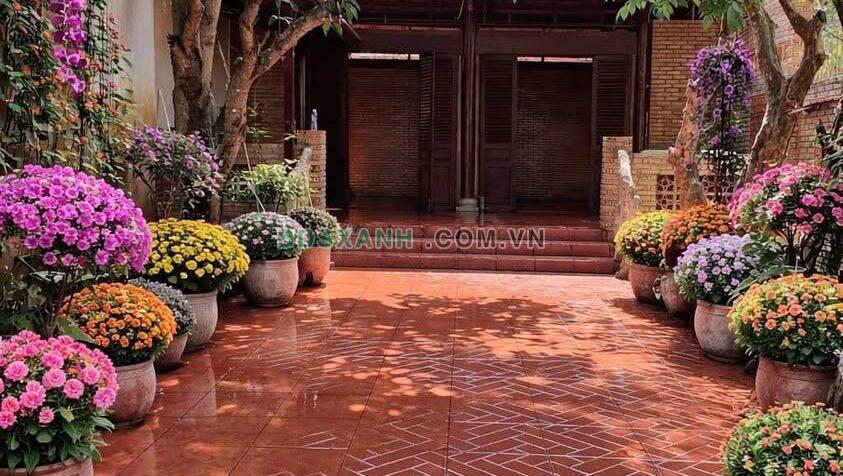 Bán Đất & Nhà Vườn Gỗ Xã Hòa Long, Tp Bà Rịa 125m2 2.3 tỷ