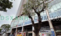 Bán Căn hộ F.Home 64m2 2PN Lý Thường Kiệt, Q.Hải Châu, sẵn HĐ thuê 15tr