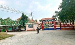 Bán đất 250m2 Ấp 2, Xã Long Cang, Huyện Cần Đước – 1.25 Tỷ