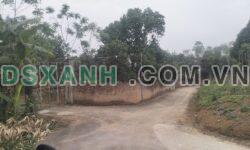 Bán đất Khu 10 Kim Đức, Phường Vân Phú, TP Việt Trì, 295m2, hơn 2 Tỷ