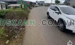 Bán đất 300m² Xã Tân Hội, Huyện Tân Phú, Đồng Nai 1.15 Tỷ
