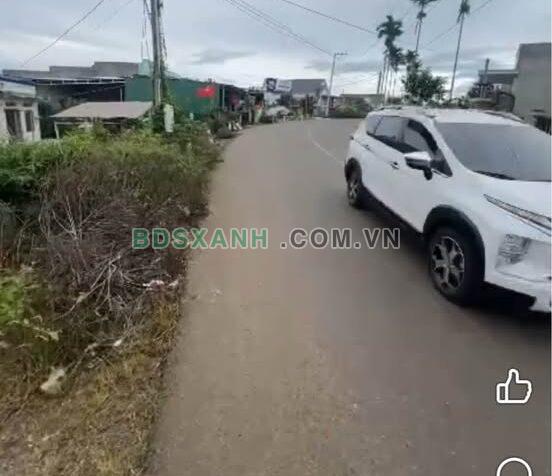 Bán đất 300m² Xã Tân Hội, Huyện Tân Phú, Đồng Nai 1.15 Tỷ