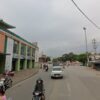 Trâu Quỳ – hình ảnh 1