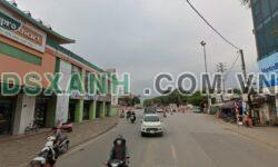 Trâu Quỳ – hình ảnh 1