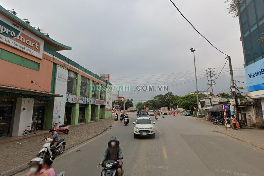 Trâu Quỳ - hình ảnh 1