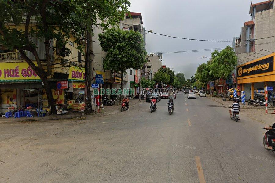 Trâu Quỳ - hình ảnh 3