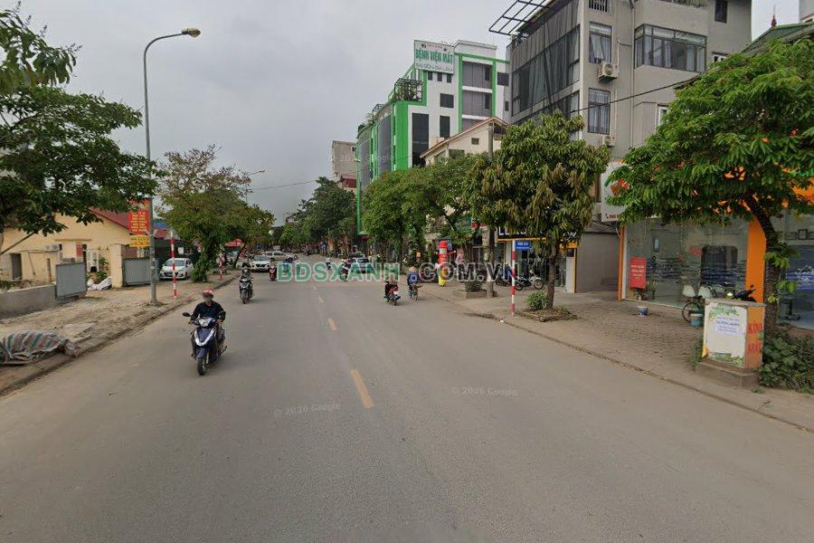 Trâu Quỳ - hình ảnh 5