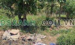 Bán Đất Phường Vĩnh Phương, TP Nha Trang 60m2 Giá 850 Triệu