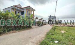 Bán Đất 187m² Khu Đầu Tường, Xã Phùng Nguyên, H. Lâm Thao – Giá Rẻ