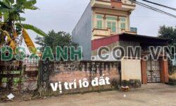 Bán 131.3m² đất Xã Trung Sơn Trầm, Thị xã Sơn Tây, Hà Nội – Giá 3.1x tỷ