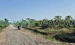 Bán Đất 500m² Xã Tân Thành, H.Thủ Thừa, Long An. Giá 270tr