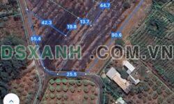 Bán Đất Vườn Huyện Xuyên Mộc, Xã Bưng Riềng 3700m² chỉ 2.96 Tỷ