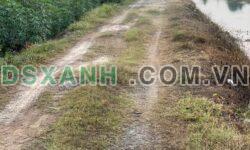 Bán đất 1000m² Phường Ninh Thạnh, Thành phố Tây Ninh chỉ 450 triệu