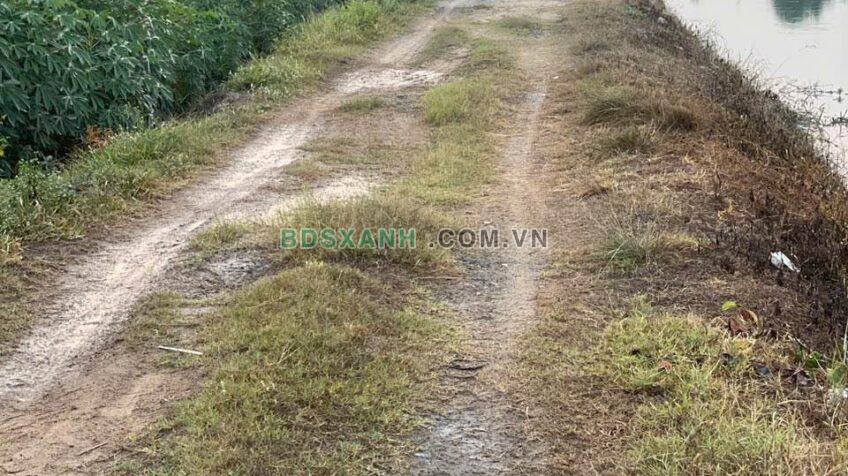 Bán đất 1000m² Phường Ninh Thạnh, Thành phố Tây Ninh chỉ 450 triệu