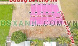 Bán 125m2 Xã Nhựt Chánh, Huyện Bến Lức, Long An giá 629tr