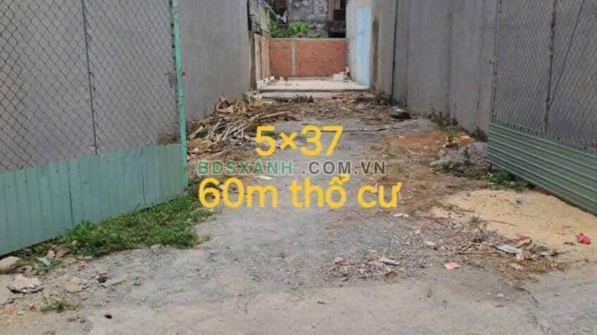 Bán đất 5x37m P. Thuận Giao, TP. Thuận An 3.3xx tỷ