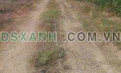 Bán 3.1 mẫu đất Xã Tân Bình, Huyện Tân Biên, Tây Ninh 2.2 tỷ TL
