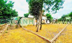 Bán 164m² đất Huyện Thạch Thất, Xã Phú Cát, Đông Yên, nhỉnh 1 tỷ