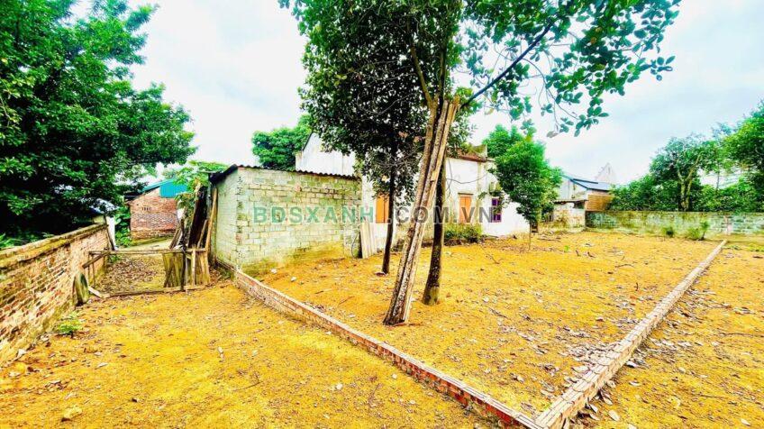 Bán 164m² đất Huyện Thạch Thất, Xã Phú Cát, Đông Yên, nhỉnh 1 tỷ