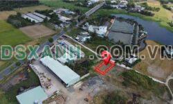 Bán đất Xã Tân Chánh, Huyện Cần Đước, 221m2, 1.3 tỷ TL.