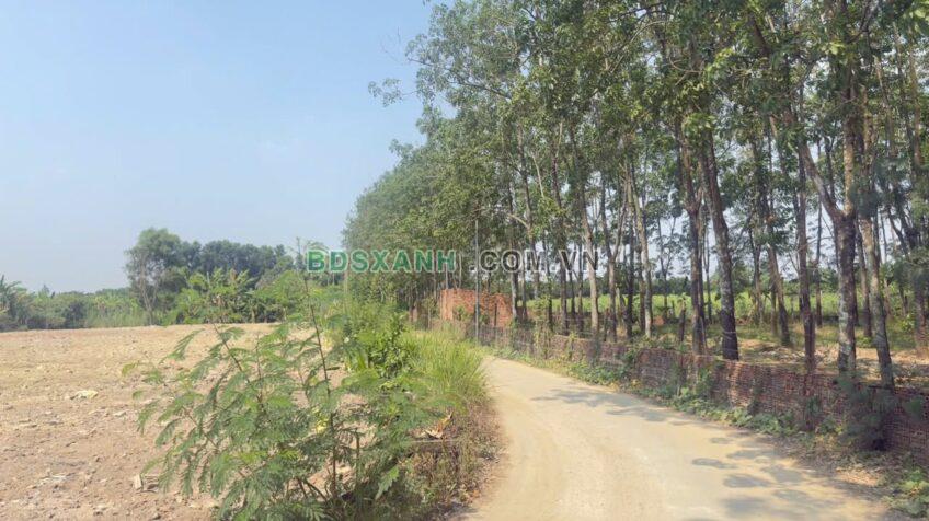 Bán đất 7x18m Thạnh Phú, Vĩnh Cửu, Đồng Nai – 910tr TL
