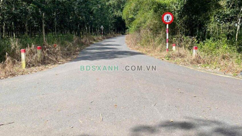 Bán 19ha Xã Minh Thạnh, TP HCM, giá từ 3.2 tỷ/ha