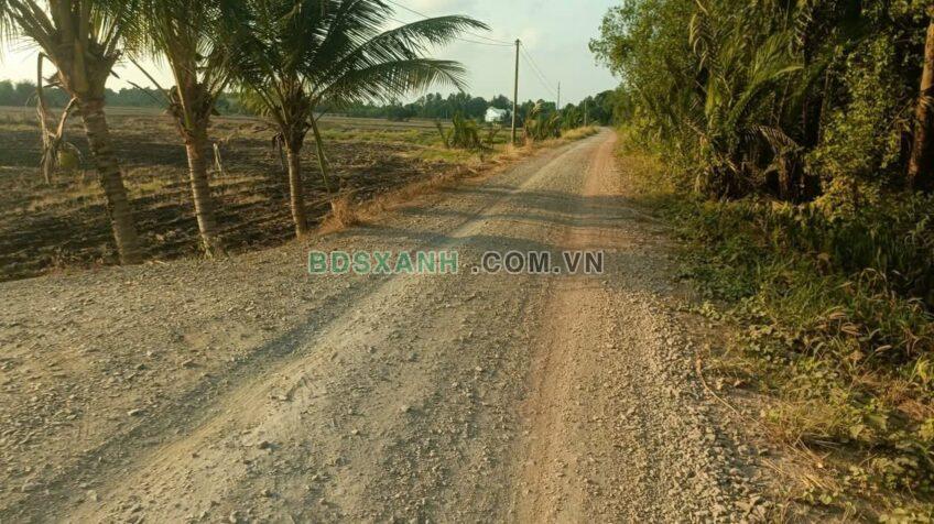 Bán Đất 2002m² Huyện Cần Đước, Long An. Đường Ô Tô, Cao Ráo.