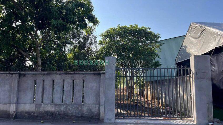 Bán Đất Vườn Xã Nghĩa Thành, 650m², 2.3 Tỷ – Huyện Châu Đức