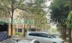 Bán Đất Phường Cao Xanh, TP Hạ Long 128m², giá từ 4x Tr/m²