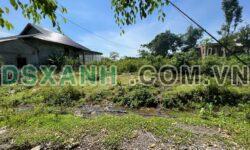 Bán Đất Suối 1000m² Huyện Tân Lạc, Hoà Bình Giá 490tr