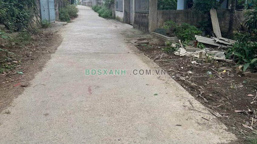 Bán đất Phường Nông Tiến, TP Tuyên Quang 210m² (100m TC), 1.65 tỷ