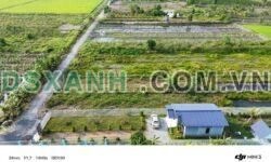 Bán nhà vườn 1000m2 Xã Tân Thành, Huyện Thủ Thừa 1.4 tỷ