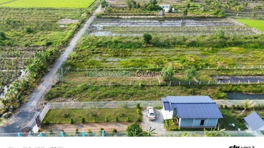 Bán nhà vườn 1000m2 Xã Tân Thành, Huyện Thủ Thừa 1.4 tỷ