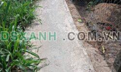 Bán Đất nền F0 Xã Long Trì, Huyện Châu Thành, Long An từ 200tr
