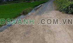Bán Đất Ấp 3, Xã Tân Hòa, Huyện Bến Lức, Long An 1000m2 chỉ 649 Triệu
