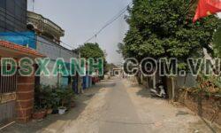 Đồng Trúc – hình ảnh 1