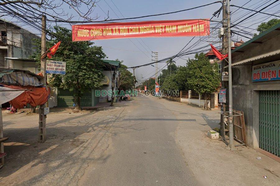 Đồng Trúc - hình ảnh 2